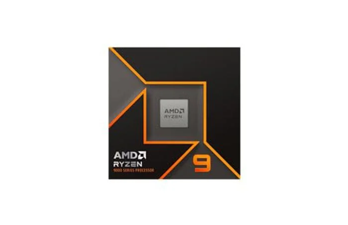 AMD Ryzen 9 9900X